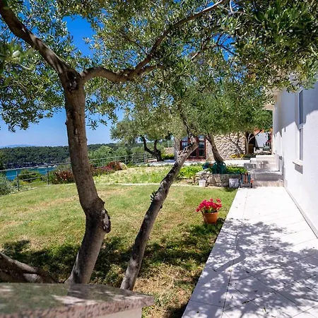 5 Star Luxury 320m2 With Seaview, Private Pool & Grill House - Ocean Rab Palit