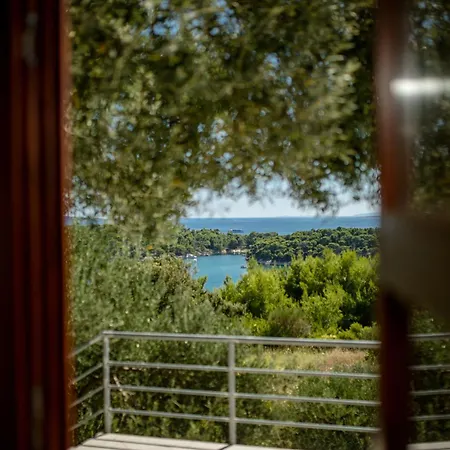 Apartman 5 Star Luxury 320m2 With Seaview, Private Pool & Grill House - Ocean Rab *