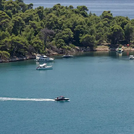 5 Star Luxury With Seaview, Private Pool & Grill House - Ocean Rab * Palit