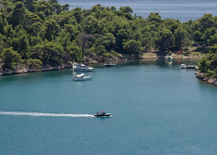 5 Star Luxury 320m2 With Seaview, Private Pool & Grill House - Ocean Rab * Palit